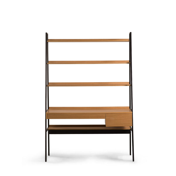 Abacus