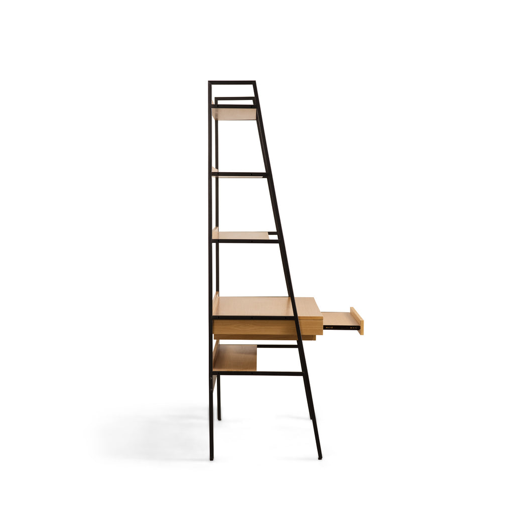Abacus